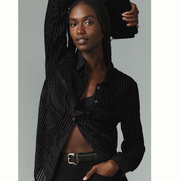 NWT Anthropologie Pilcro Velvet Burnout Long Sleeve Buttondown Blouse 2X - Picture 9 of 13
